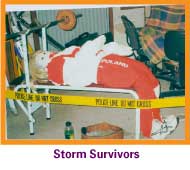 Storm Survivors mystery game