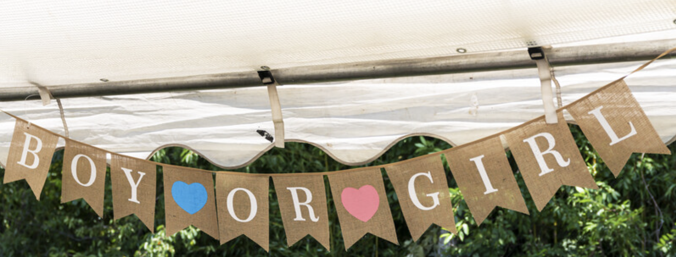 Gender Reveal Banner