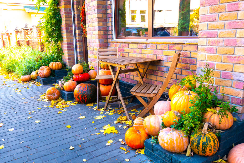 Halloween pumpkins decorations outdoor near the cafe. Beautiful